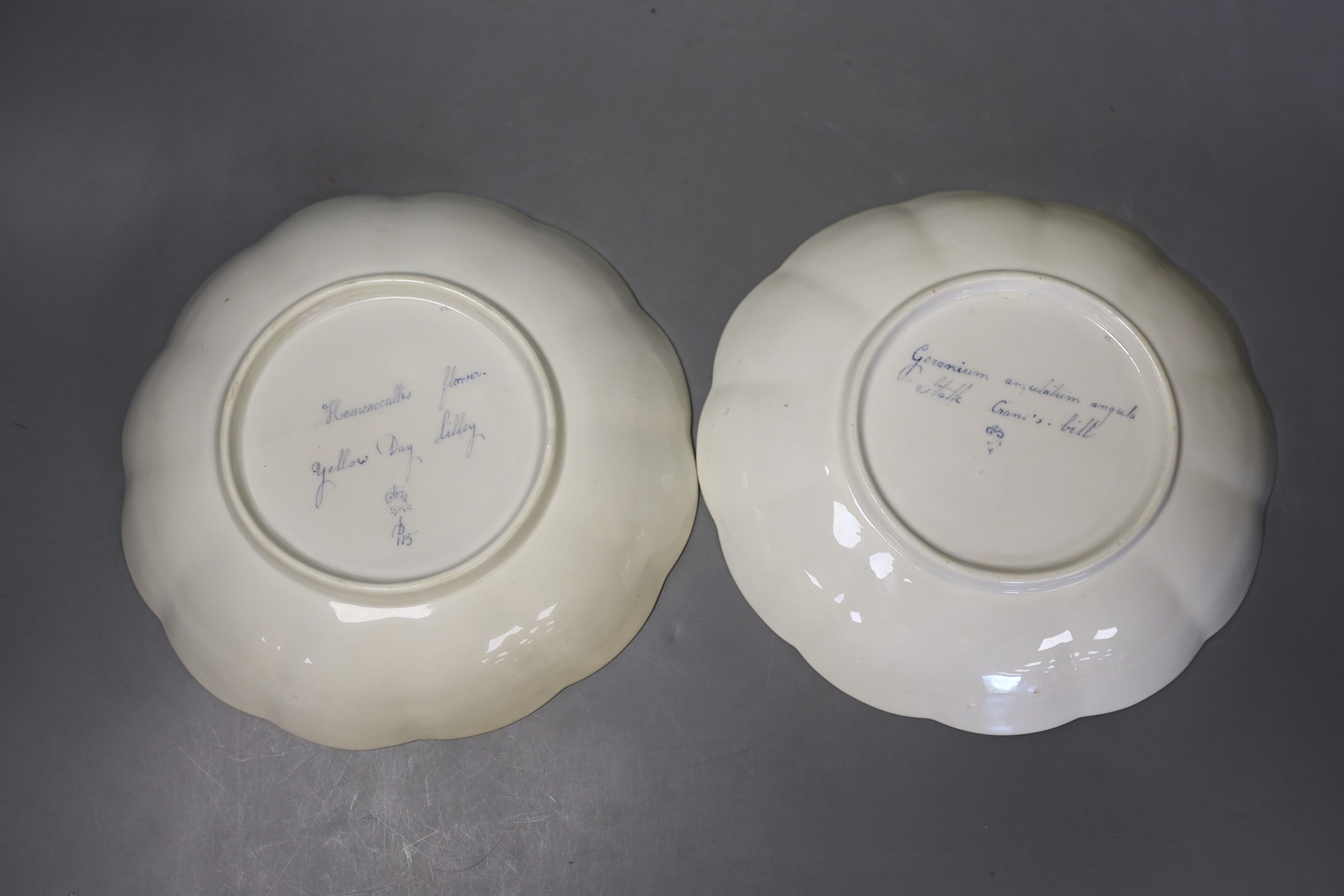 Four Derby botanical plates, to include pattern 115, Derby collection no.150 and 151, c.1795